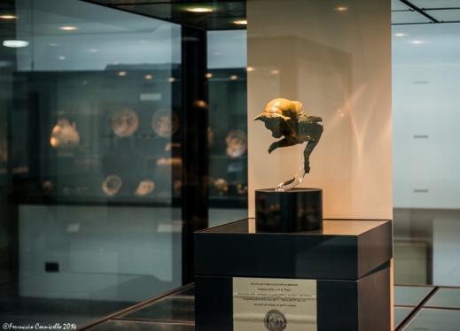 Il Toro cozzante nell'allestimento espositivo al museo archeologico della Sibaritide