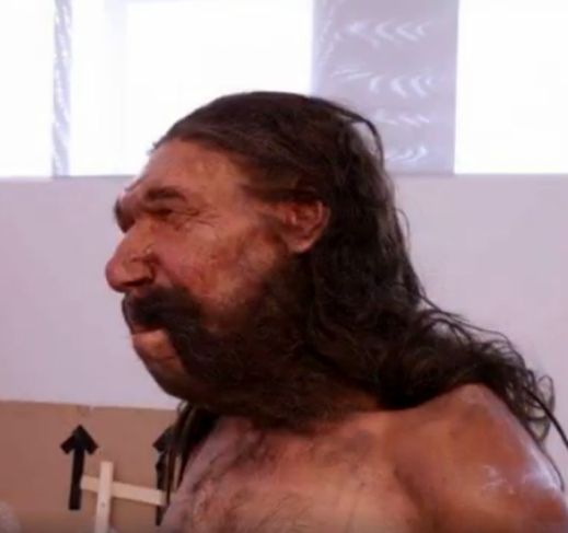 Fronte sporgente, sopracciglia arcuate, naso schiacciato: ecco il volto dell'uomo di Altamura, un Neanderthal di 150mila anni fa
