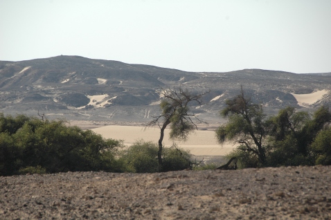 Una veduta dell'oasi di Kharga, 700 chilometri a sud del Cairo (foto Maurizio Zulian)