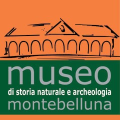 montebelluna_museo-storia-naturale-e-archeologia_logo