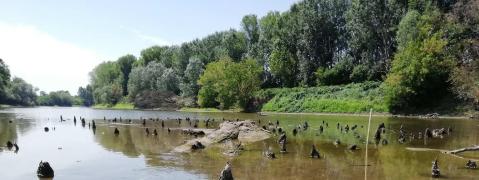 fiume-oglio_palafitta_foto-sabap-cr-mn